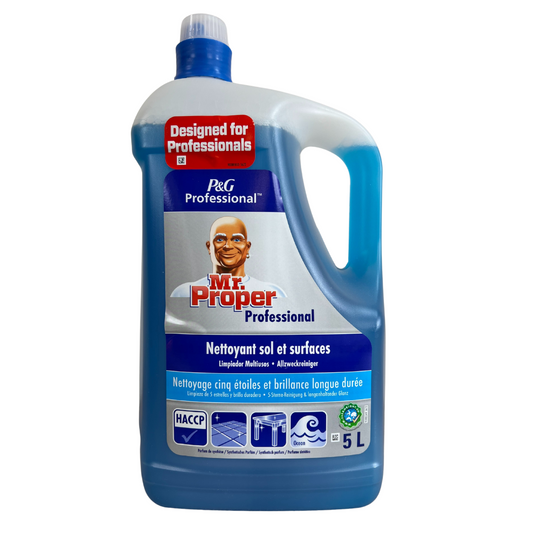 Mr. Proper Allesreiniger Ocean 5 L